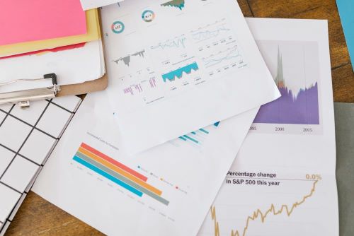 seo-reports